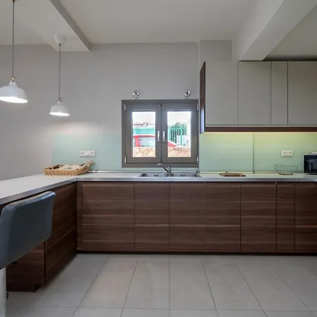 Oikia Eftichia Tatil Evi Skalanion